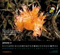 Photo of merchandise 2007 Calendar