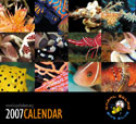 Photo of merchandise 2007 Calendar