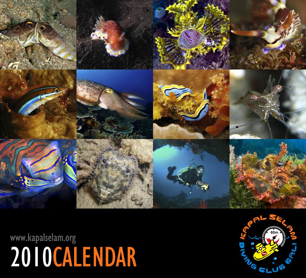 Photo of merchandise 2010 Underwater Photos Calendar